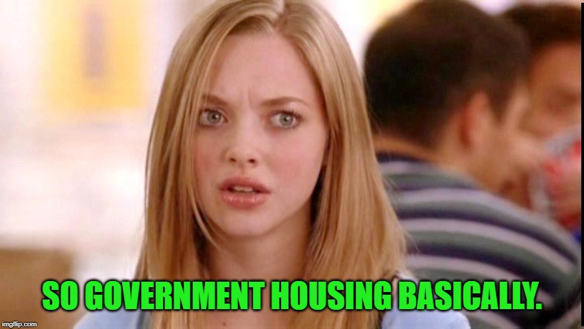 Dumb Blonde | SO GOVERNMENT HOUSING BASICALLY. | image tagged in dumb blonde | made w/ Imgflip meme maker