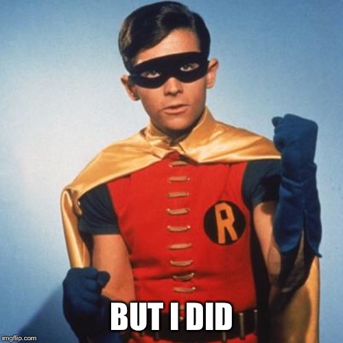 Robin | BUT I DID | image tagged in robin | made w/ Imgflip meme maker