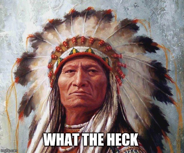 What for Headdress | WHAT THE HECK | image tagged in what for headdress | made w/ Imgflip meme maker
