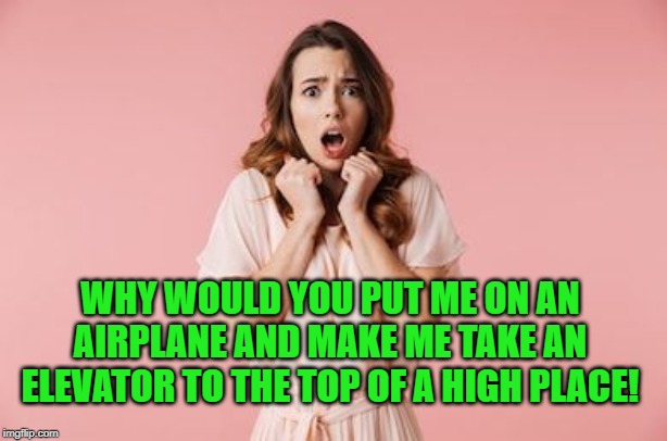 Scared woman | WHY WOULD YOU PUT ME ON AN AIRPLANE AND MAKE ME TAKE AN ELEVATOR TO THE TOP OF A HIGH PLACE! | image tagged in scared woman | made w/ Imgflip meme maker