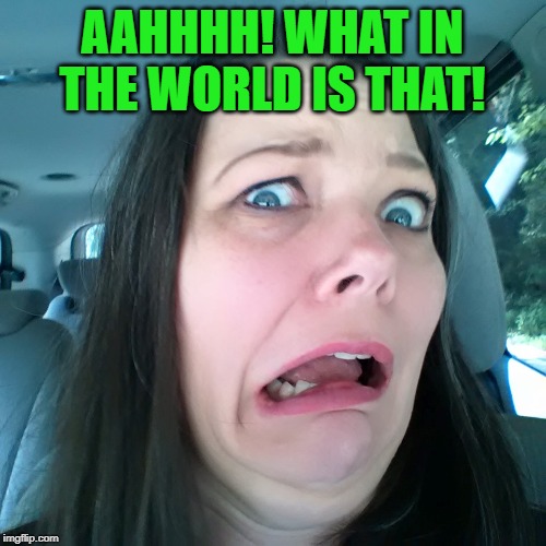 AAHHHH! WHAT IN THE WORLD IS THAT! | made w/ Imgflip meme maker