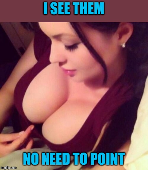Does she think we're blind? | I SEE THEM; NO NEED TO POINT | image tagged in boobs | made w/ Imgflip meme maker