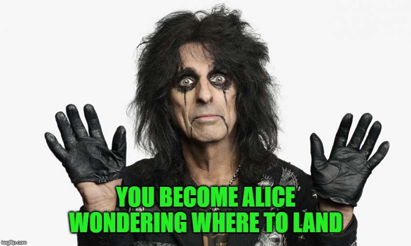Alice Cooper | YOU BECOME ALICE WONDERING WHERE TO LAND | image tagged in alice cooper | made w/ Imgflip meme maker