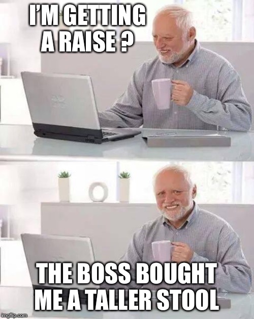 Hide the Pain Harold Meme | I’M GETTING A RAISE ? THE BOSS BOUGHT ME A TALLER STOOL | image tagged in memes,hide the pain harold | made w/ Imgflip meme maker