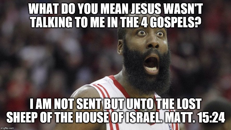 Shocked James Harden | WHAT DO YOU MEAN JESUS WASN'T TALKING TO ME IN THE 4 GOSPELS? I AM NOT SENT BUT UNTO THE LOST SHEEP OF THE HOUSE OF ISRAEL. MATT. 15:24 | image tagged in shocked james harden | made w/ Imgflip meme maker
