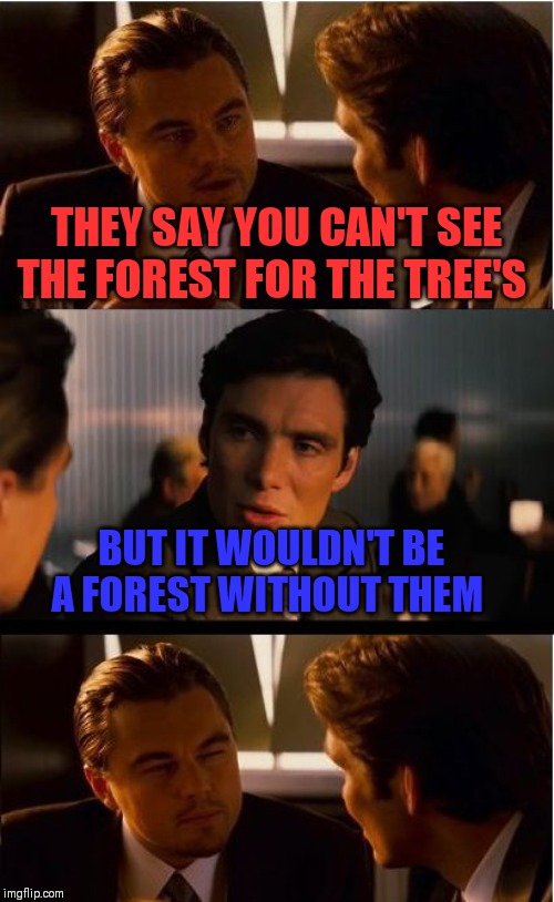 Inception Meme | THEY SAY YOU CAN'T SEE THE FOREST FOR THE TREE'S; BUT IT WOULDN'T BE A FOREST WITHOUT THEM | image tagged in memes,inception | made w/ Imgflip meme maker