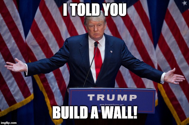 I TOLD YOU BUILD A WALL! | image tagged in donald trump | made w/ Imgflip meme maker