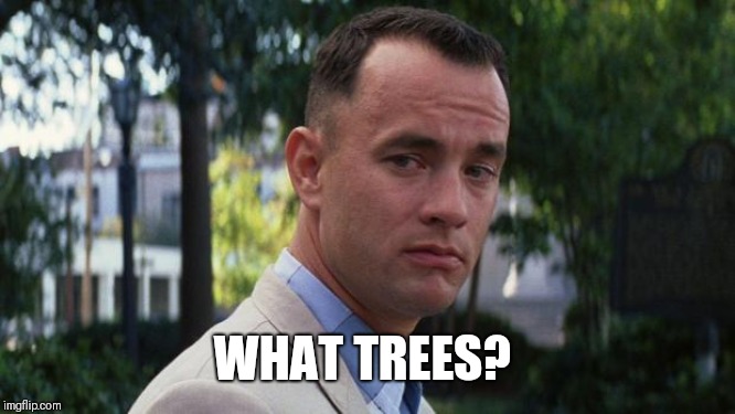 Forrest Gump | WHAT TREES? | image tagged in forrest gump | made w/ Imgflip meme maker