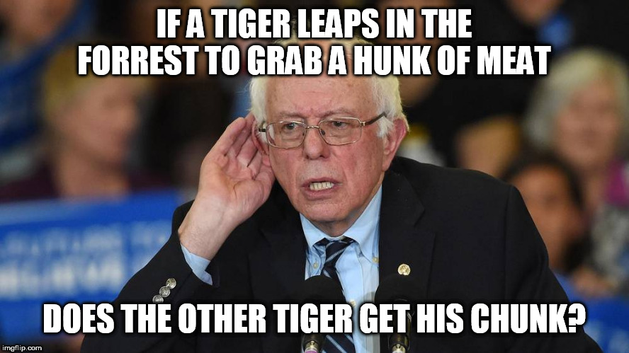 IF A TIGER LEAPS IN THE FORREST TO GRAB A HUNK OF MEAT DOES THE OTHER TIGER GET HIS CHUNK? | made w/ Imgflip meme maker