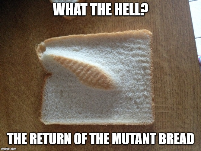 WHAT? | WHAT THE HELL? THE RETURN OF THE MUTANT BREAD | image tagged in funny,memes,bread,stupid | made w/ Imgflip meme maker