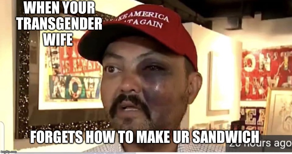 WHEN YOUR TRANSGENDER WIFE; FORGETS HOW TO MAKE UR SANDWICH | image tagged in transgender,transgender bathroom,sandwich maker,funny,memes,iwilloffendeveryone | made w/ Imgflip meme maker