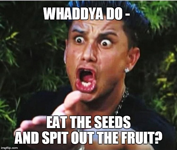 WHADDYA DO - EAT THE SEEDS AND SPIT OUT THE FRUIT? | made w/ Imgflip meme maker