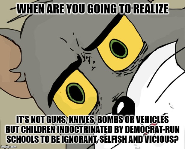 Unsettled Tom | WHEN ARE YOU GOING TO REALIZE; IT'S NOT GUNS, KNIVES, BOMBS OR VEHICLES BUT CHILDREN INDOCTRINATED BY DEMOCRAT-RUN SCHOOLS TO BE IGNORANT, SELFISH AND VICIOUS? | image tagged in memes,unsettled tom | made w/ Imgflip meme maker