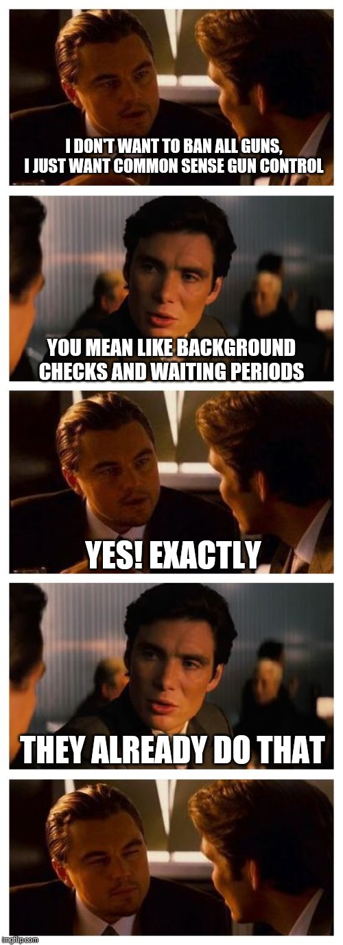 Leonardo Inception (Extended) | I DON'T WANT TO BAN ALL GUNS, I JUST WANT COMMON SENSE GUN CONTROL; YOU MEAN LIKE BACKGROUND CHECKS AND WAITING PERIODS; YES! EXACTLY; THEY ALREADY DO THAT | image tagged in leonardo inception extended | made w/ Imgflip meme maker