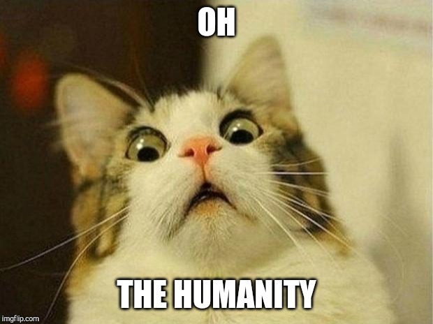 Scared Cat Meme | OH THE HUMANITY | image tagged in memes,scared cat | made w/ Imgflip meme maker