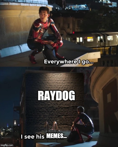 Everywhere I Go Spider-Man | RAYDOG; MEMES... | image tagged in everywhere i go spider-man | made w/ Imgflip meme maker