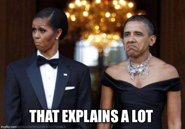 Barack and Michelle | THAT EXPLAINS A LOT | image tagged in barack and michelle | made w/ Imgflip meme maker