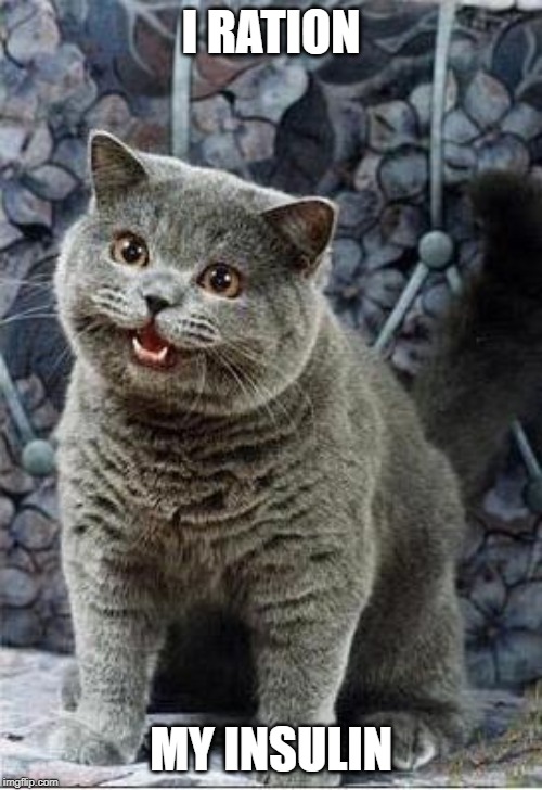 I can has cheezburger cat | I RATION; MY INSULIN | image tagged in i can has cheezburger cat | made w/ Imgflip meme maker