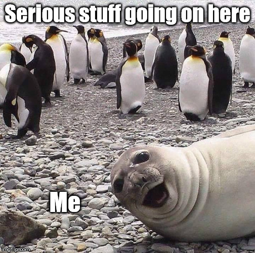 Serious stuff photo bomb | Serious stuff going on here; Me | image tagged in photo bomb,funny,penguins,seal | made w/ Imgflip meme maker