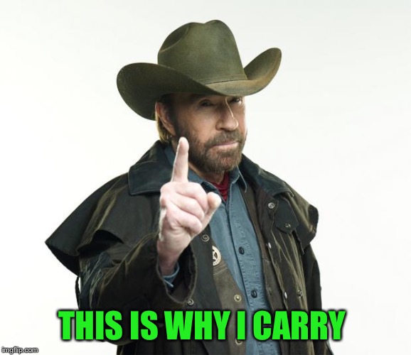 Chuck Norris Finger Meme | THIS IS WHY I CARRY | image tagged in memes,chuck norris finger,chuck norris | made w/ Imgflip meme maker