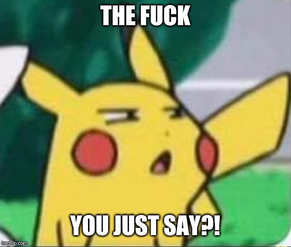 THE FUCK; YOU JUST SAY?! | image tagged in pikachu is not amused,pokemon memes | made w/ Imgflip meme maker