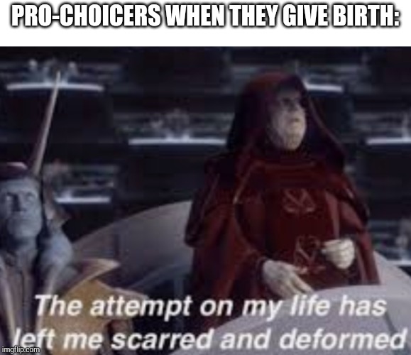 The attempt on my life has left me scarred and deformed | PRO-CHOICERS WHEN THEY GIVE BIRTH: | image tagged in the attempt on my life has left me scarred and deformed | made w/ Imgflip meme maker
