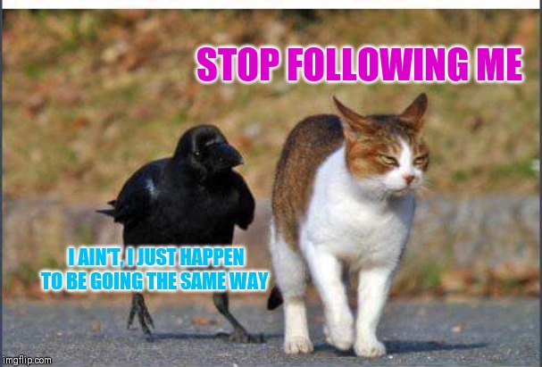 STOP FOLLOWING ME I AIN'T, I JUST HAPPEN TO BE GOING THE SAME WAY | made w/ Imgflip meme maker