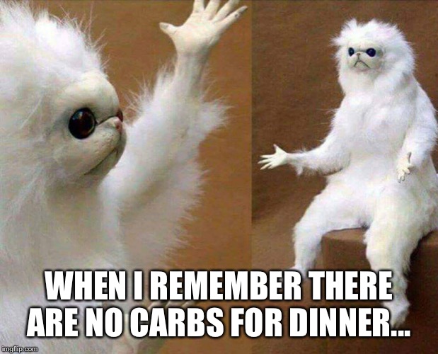 White cat creature | WHEN I REMEMBER THERE ARE NO CARBS FOR DINNER... | image tagged in white cat creature | made w/ Imgflip meme maker