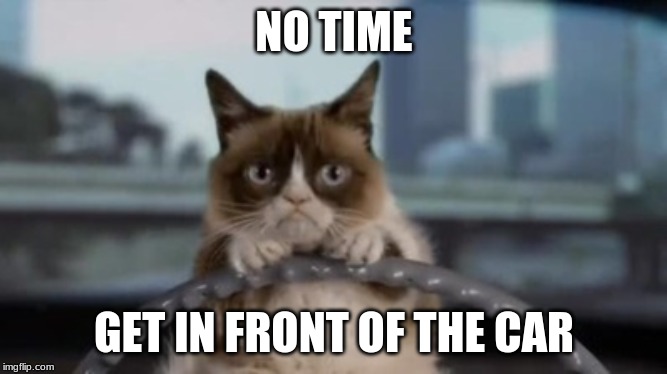 Ran Over | NO TIME; GET IN FRONT OF THE CAR | image tagged in memes,grumpy cat driving | made w/ Imgflip meme maker
