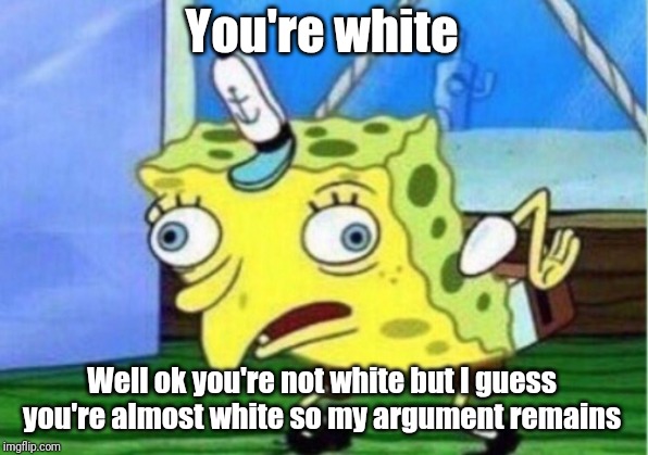 Mocking Spongebob Meme | You're white Well ok you're not white but I guess you're almost white so my argument remains | image tagged in memes,mocking spongebob | made w/ Imgflip meme maker