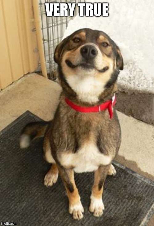 dog smiling big | VERY TRUE | image tagged in dog smiling big | made w/ Imgflip meme maker