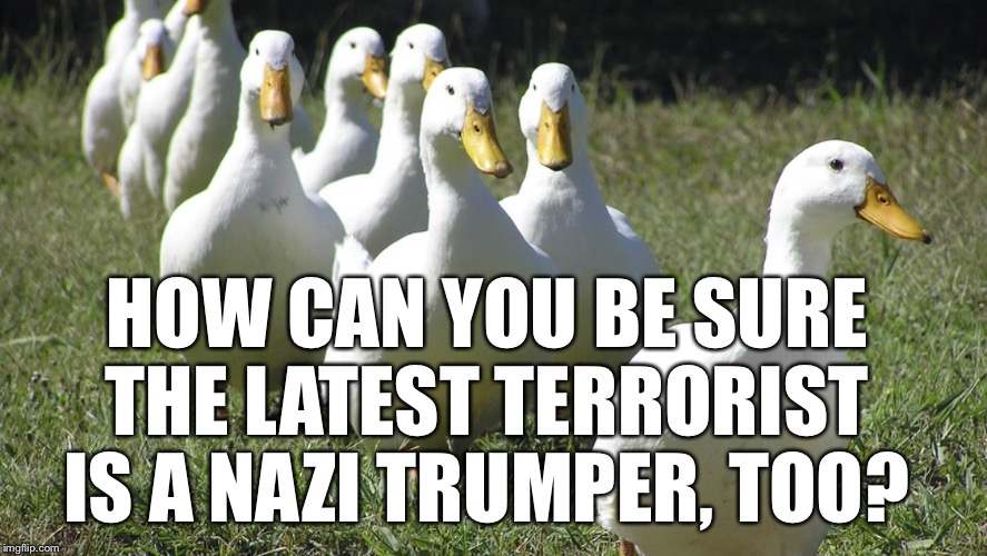 Trump’s Nazi Terrorists | HOW CAN YOU BE SURE THE LATEST TERRORIST IS A NAZI TRUMPER, TOO? | image tagged in trump,kkk,nazis,terrorists,white house,white supremacists | made w/ Imgflip meme maker