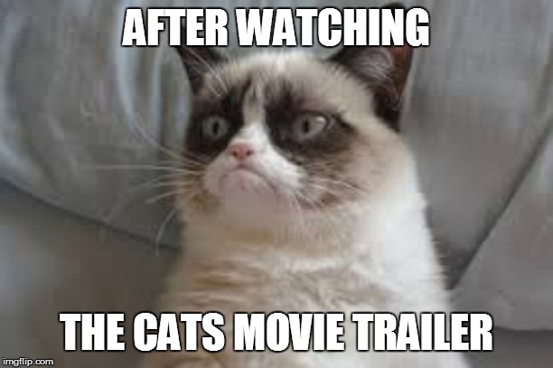 Grumpy cat | AFTER WATCHING; THE CATS MOVIE TRAILER | image tagged in grumpy cat | made w/ Imgflip meme maker