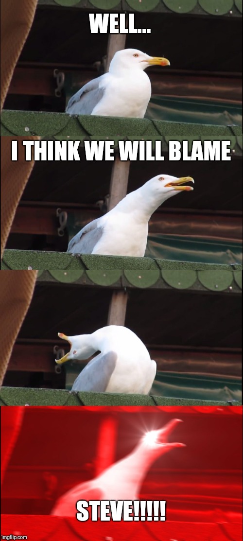 Inhaling Seagull Meme | WELL... I THINK WE WILL BLAME; STEVE!!!!! | image tagged in memes,inhaling seagull | made w/ Imgflip meme maker