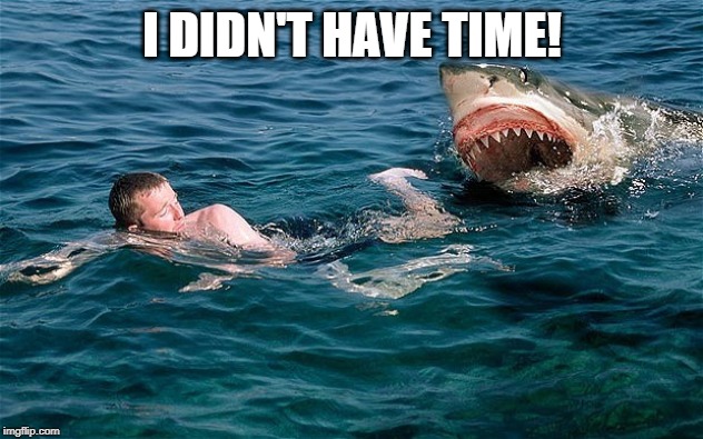 Swimming with sharks | I DIDN'T HAVE TIME! | image tagged in swimming with sharks | made w/ Imgflip meme maker