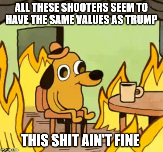 Its fine | ALL THESE SHOOTERS SEEM TO HAVE THE SAME VALUES AS TRUMP; THIS SHIT AIN'T FINE | image tagged in its fine | made w/ Imgflip meme maker