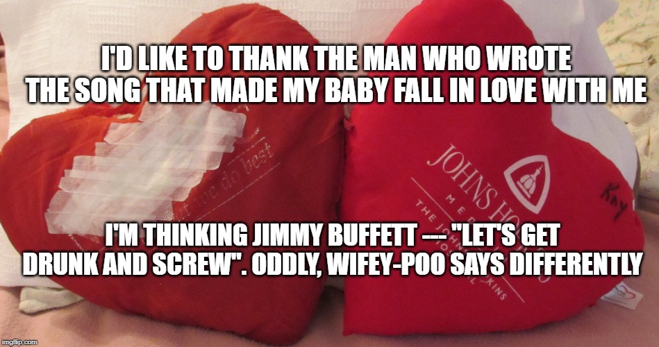 Wallymart Sale | I'D LIKE TO THANK THE MAN WHO WROTE THE SONG THAT MADE MY BABY FALL IN LOVE WITH ME; I'M THINKING JIMMY BUFFETT --- "LET'S GET DRUNK AND SCREW". ODDLY, WIFEY-POO SAYS DIFFERENTLY | image tagged in love | made w/ Imgflip meme maker