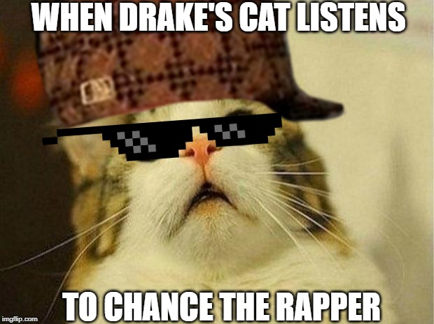 WHEN DRAKE'S CAT LISTENS; TO CHANCE THE RAPPER | image tagged in drake,scared cat | made w/ Imgflip meme maker