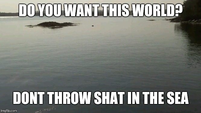 Beautiful sea | DO YOU WANT THIS WORLD? DONT THROW SHAT IN THE SEA | image tagged in beautiful sea | made w/ Imgflip meme maker