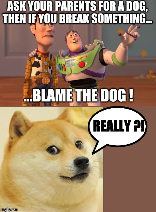 X, X Everywhere | ASK YOUR PARENTS FOR A DOG, THEN IF YOU BREAK SOMETHING... ...BLAME THE DOG ! REALLY ?! | image tagged in memes,x x everywhere | made w/ Imgflip meme maker