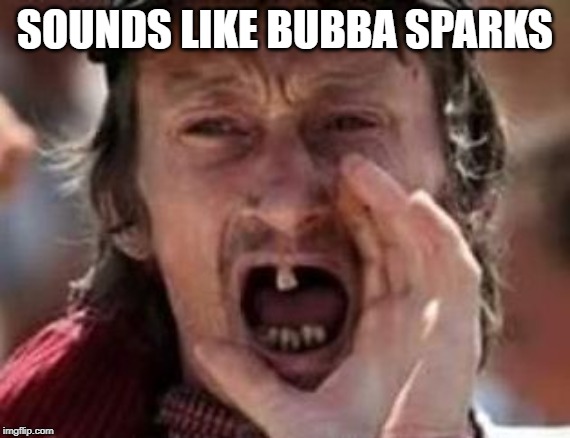 redneck no teeth | SOUNDS LIKE BUBBA SPARKS | image tagged in redneck no teeth | made w/ Imgflip meme maker