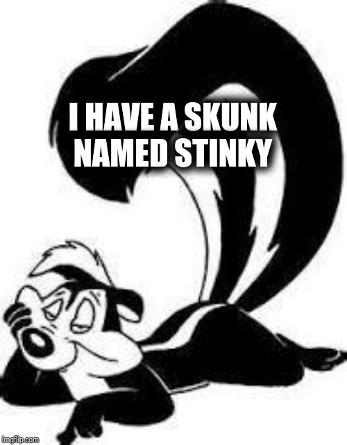 Pepe Le Pew Sexy | I HAVE A SKUNK
NAMED STINKY | image tagged in pepe le pew sexy | made w/ Imgflip meme maker