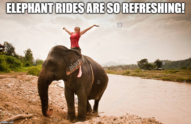 ELEPHANT RIDES ARE SO REFRESHING! | made w/ Imgflip meme maker