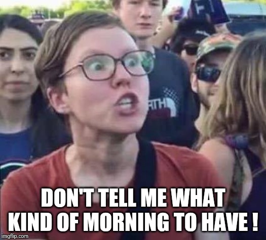 Angry Liberal | DON'T TELL ME WHAT KIND OF MORNING TO HAVE ! | image tagged in angry liberal | made w/ Imgflip meme maker