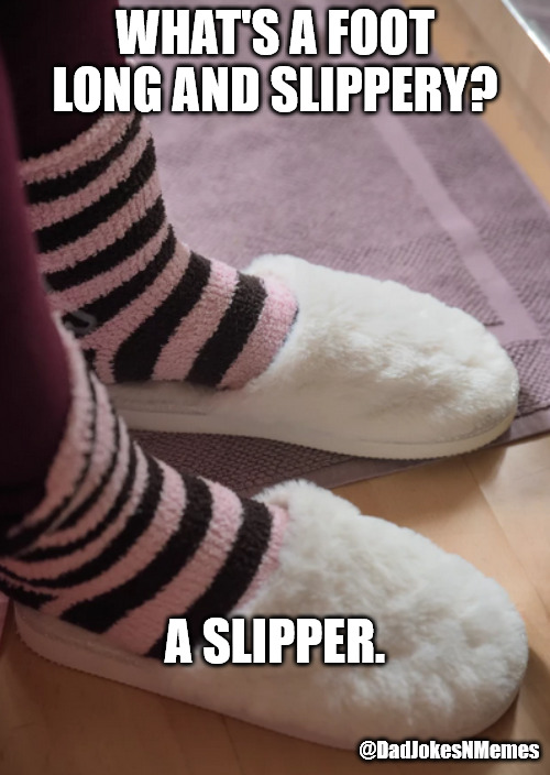 Red Forman would love this joke. | WHAT'S A FOOT LONG AND SLIPPERY? A SLIPPER. @DadJokesNMemes | image tagged in dad joke | made w/ Imgflip meme maker