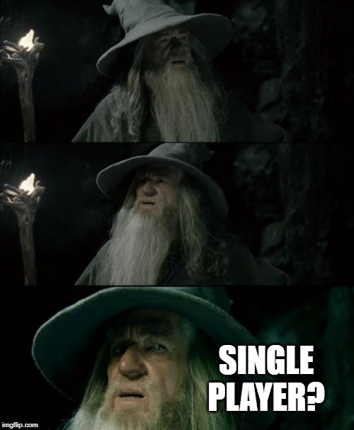 Confused Gandalf Meme | SINGLE PLAYER? | image tagged in memes,confused gandalf | made w/ Imgflip meme maker