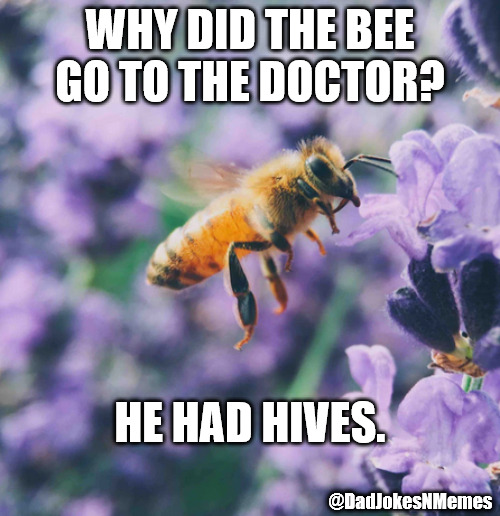 Better 'bee' a good dad joke is all I'm sayin'. | WHY DID THE BEE
GO TO THE DOCTOR? HE HAD HIVES. @DadJokesNMemes | image tagged in dad joke,dad jokes,dad joke meme,bees | made w/ Imgflip meme maker
