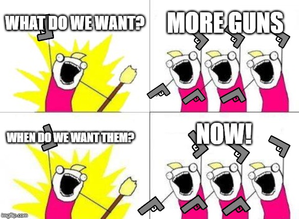 What Do We Want Meme | WHAT DO WE WANT? MORE GUNS; NOW! WHEN DO WE WANT THEM? | image tagged in memes,what do we want | made w/ Imgflip meme maker