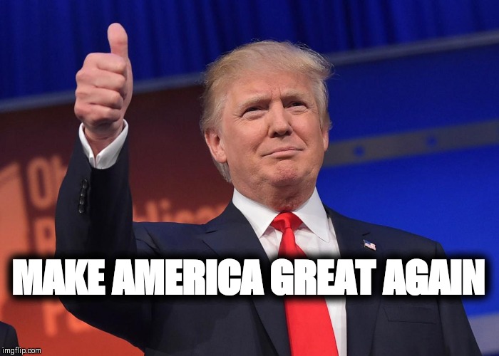 donald trump | MAKE AMERICA GREAT AGAIN | image tagged in donald trump | made w/ Imgflip meme maker