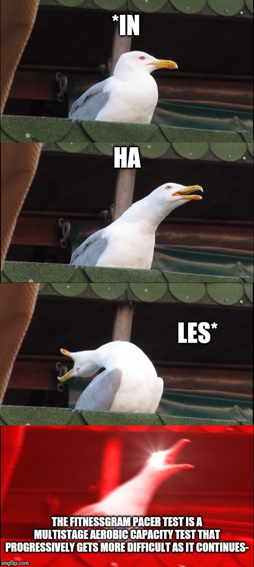 *in
ha
les* | *IN; HA; LES*; THE FITNESSGRAM PACER TEST IS A MULTISTAGE AEROBIC CAPACITY TEST THAT PROGRESSIVELY GETS MORE DIFFICULT AS IT CONTINUES- | image tagged in memes,inhaling seagull | made w/ Imgflip meme maker